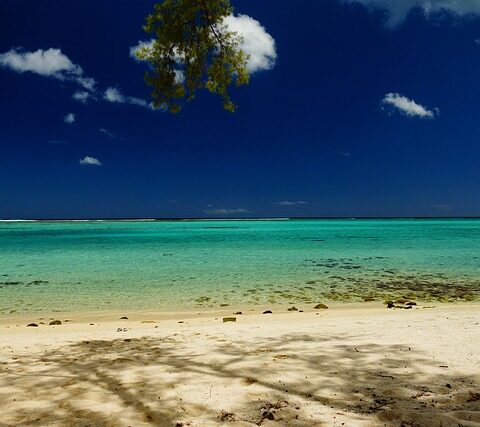 Pourquoi choisir les Seychelles pour vos prochaines vacances ?